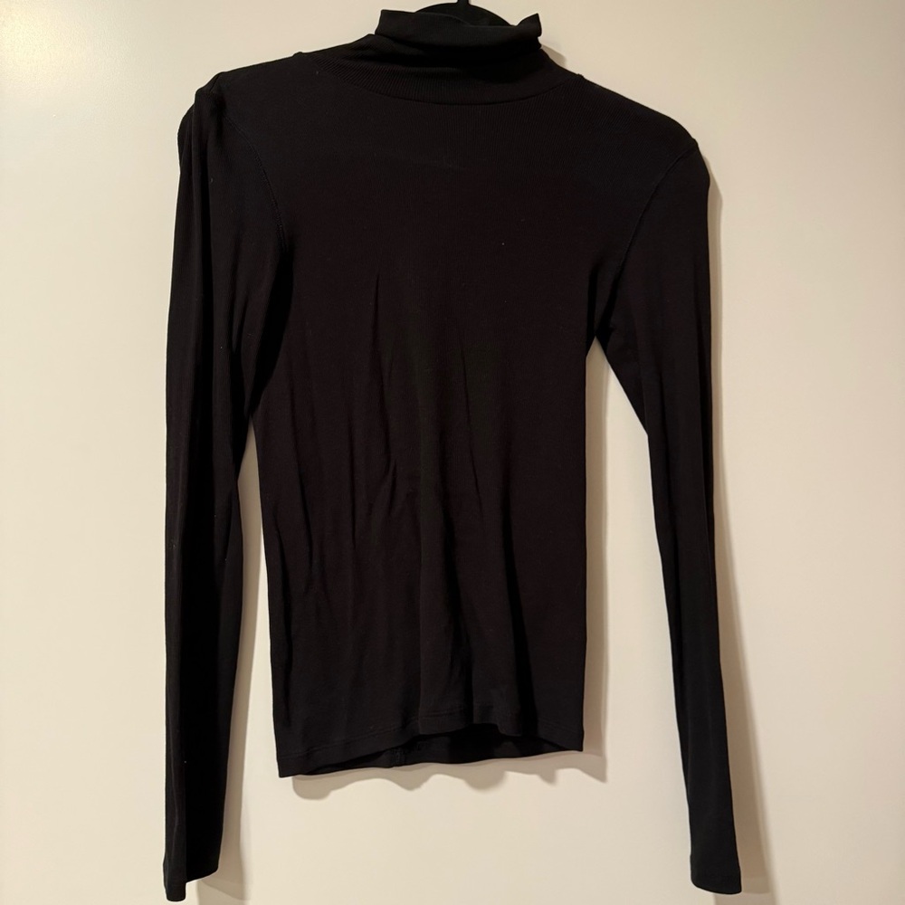 Everlane Black Long Sleeve Turtleneck Top